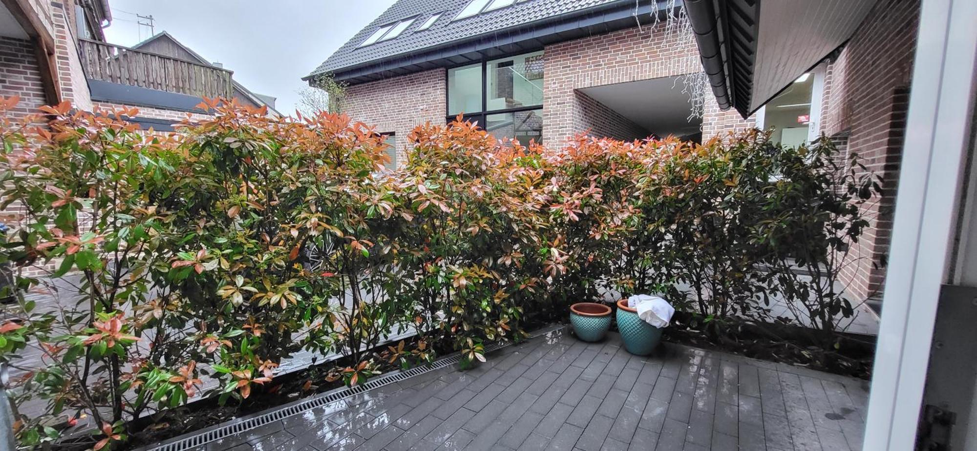 Appartement Suerder Hof *